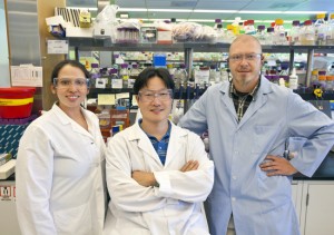 Biofuel breakthrough made from microbes