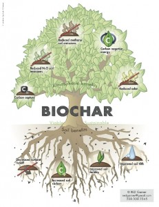 Could Biomass Technology Help Commercialize Biochar