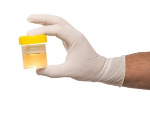 PEE POWER Bristolian Scientists Make Breakthrough In Using Urine as a Viable Power Source