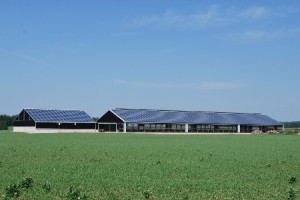Chimed Farms hosting Open House to showcase its new Solar Energy System