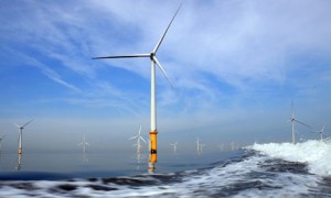 Offshore wind farms are good for wildlife, say researchers