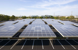 UC Davis swaps real trees for solar structure