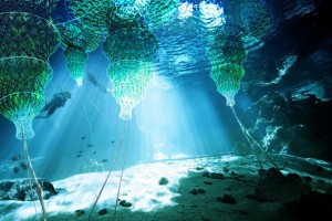 Cuba, Enrique el Pelu cove, sunlight reaching underwater caves