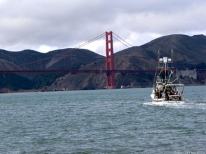 Ocean-faring robots set sail on Guinness record attempt