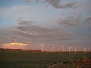 Five US States Now Get 20 Of Their Electricity From Wind Power