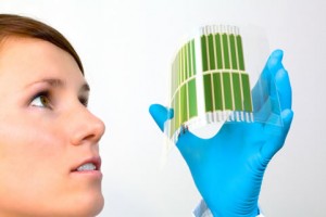 New Organic Solar Cell Efficiency Record Obtained by Heliatek
