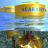A Wave Power Generator with a Twist: It Generates Electricity On Dry Land